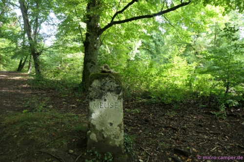Grenzstein mitten im Wald
