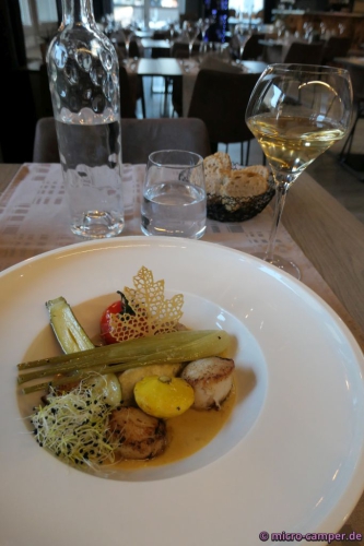 Coquilles Saint Jacques