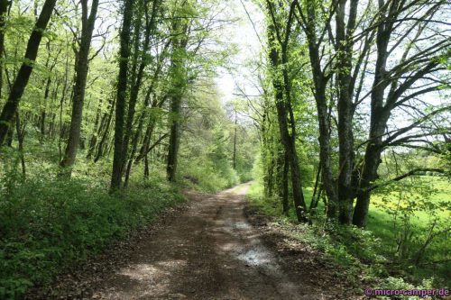 Die Wälder sind bereits voll