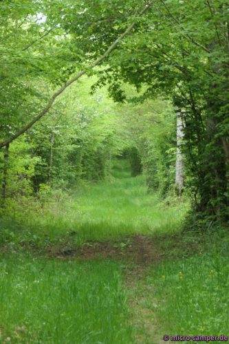 Grüner Tunnel