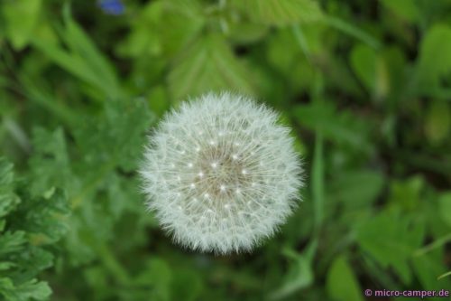 Faszination auch im Gewöhnlichen