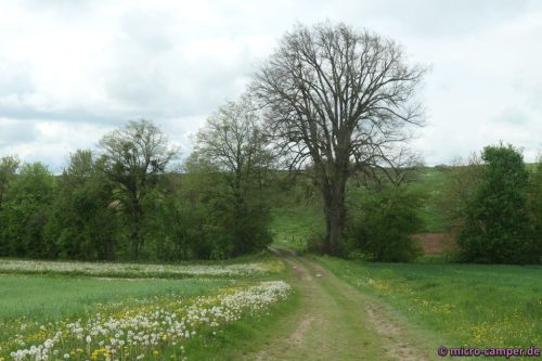 Bachtal vor Aureil Maison