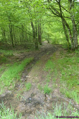 Es wird mal wieder nass von oben UND unten.