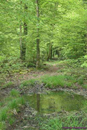 Doch wilde Wege machen halt auch Spaß!