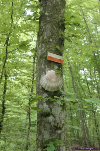 Echte Muscheln als Wegweiser, immer wieder schön!