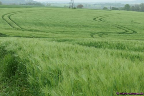 Linienkunst im Getreidefeld