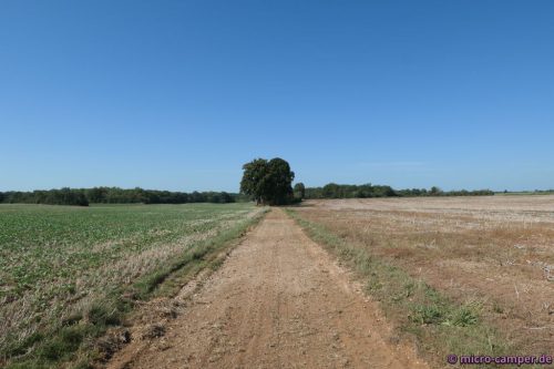 ... zu sengender Sonne auf offenem Feld.