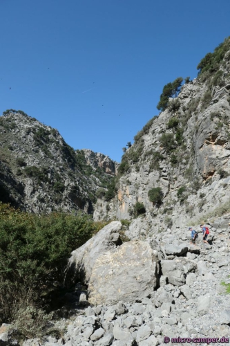 Die Geier kreisen über uns,