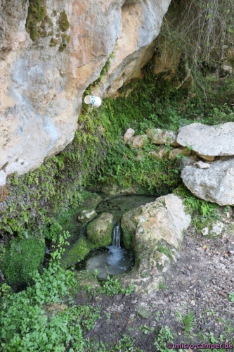 Kleine Quelle am Wegesrand