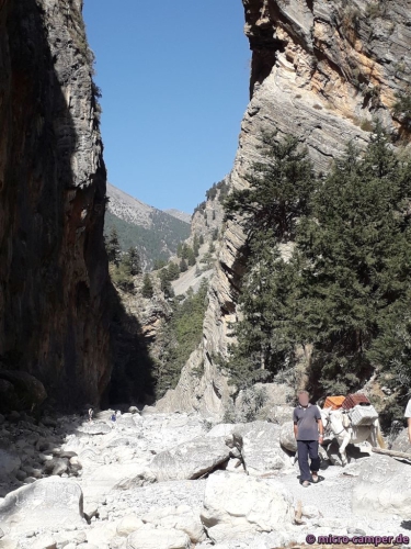 Altbewährtes Transportmittel, immer noch gefragt