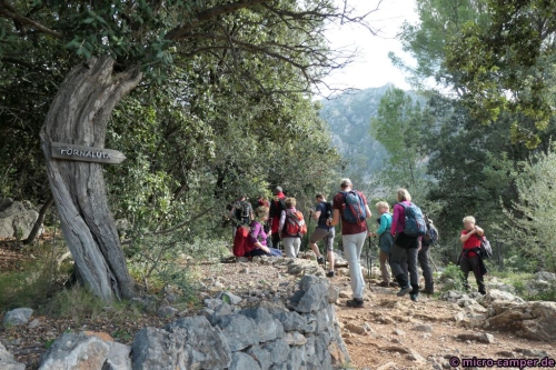 Abzweig nach Fornalutx, kurze Pause