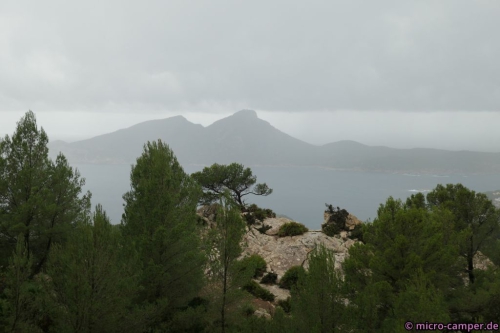Die Insel Sa Dragonera ist ein Naturpark, Flora und Fauna werden also streng geschützt