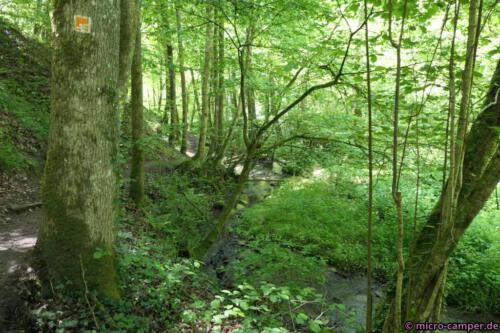 Alles ist frühlingsfrischgrün