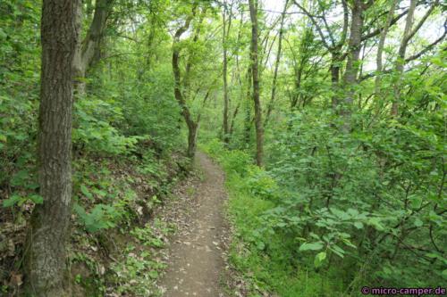 Abstieg wieder über verträumte Pfade