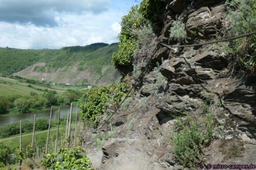 Klettern zwischen Reben und Schiefer am Calmont