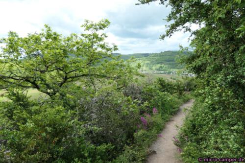 Zwischendrin immer wieder schmale Pfade ...