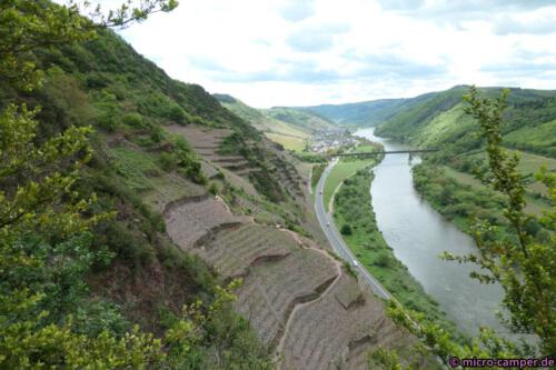 Der Calmont ist der steilste Weinberg Europas