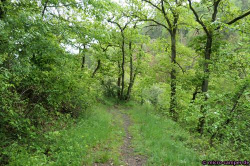 Sieht immer gleich aus? Trotzdem schön!