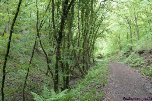 Auf breiteren Wegen geht es wieder ins Tal