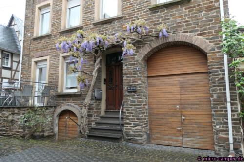 Diese lilafarbene Rankpflanze habe ich sehr oft gesehen, ein wunderschöner Hausschmuck!