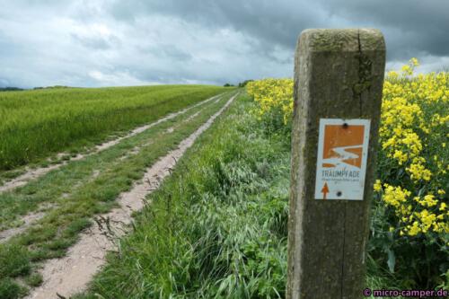 Ich wandle wieder auf einem Traumpfad