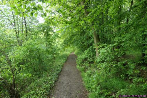 So viel Laubwald hier überall, herrlich!