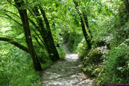 Weiter am Eltzbach entlang