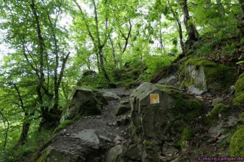 So liebe ich die Wanderwege am meisten!