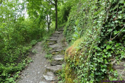 In den Weinbergterrassen gibt es immer wieder schmale Treppen