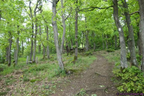 Es wiederholt sich irgendwie, aber ist das Grün nicht schön?!