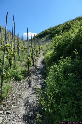 Wie immer zuerst: bergauf