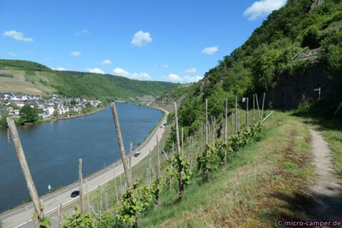 Aber der Blick aus der Höhe lohnt den Aufstieg