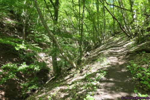 ... aber es gibt so viel zu gucken ...