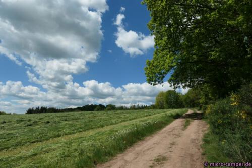 Auf der Höhe an frisch gemähten Wiesen vorbei