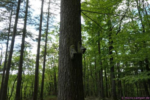 Hm, hat die mal jemand verloren oder ist das auch Kunst?