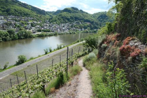 Durch die Weinberge unterhalb der Brauselay