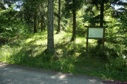 Eines der eisenzeitlichen Hügelgräber