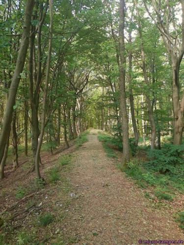 Wandern über die ehemalige Befestigungsmauer