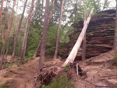 Kaum losgelaufen, schon bestaune ich die ersten Felsen