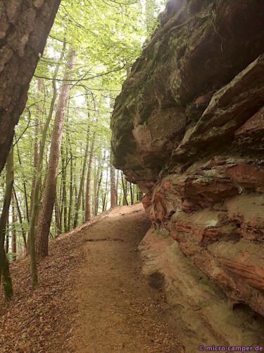 Das Rot der Felsen kontrastiert toll zum Grün des Waldes