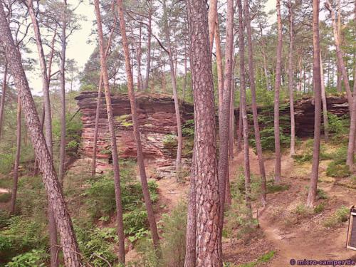 Die Felsenarena, ein Halbreis aus Sandstein