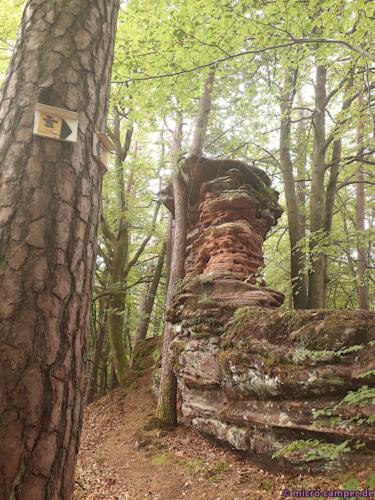 Felsen und Wald, mehr gibt es auf dieser Tour kaum - aber eben auch nicht weniger!