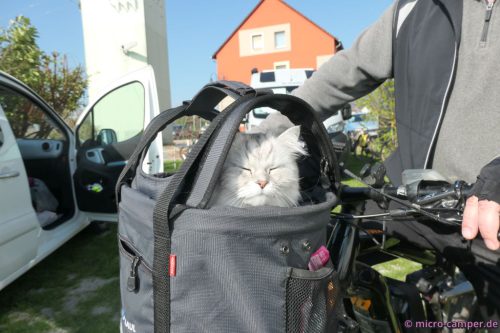 Hätte sie doch nur ihre Lider gehoben,