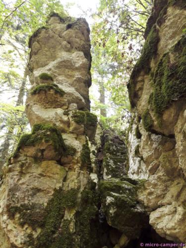 Die Natur ist ein größer Künstler!