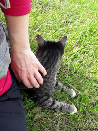 Fellnase auf Tuchfühlung