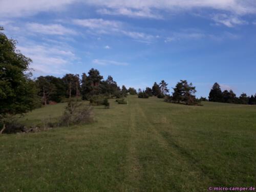 Wacholderheide, der Anblick lässt mich seltsamerweise an Modelleisenbahnen denken