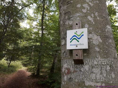 Eine Kalorien verbrauchende Donauwelle!