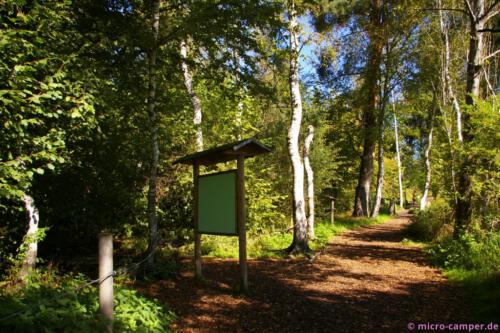 Besonders an dieser Stelle ist der Boden "puddingartig"