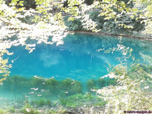 Was für ein wunderschönes Farbspiel!