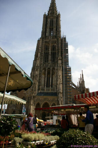 Geschäftiges Treiben vor dem Steinriesen